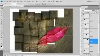 Мозаика, монтаж или эффект объединения одной фотографии – Неделя 43