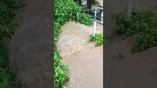 Heavy 🌧️ rainfall in Shimla Himachal Pradesh ☔#weatherreport #weatherupdate #weathershorts #ytshorts