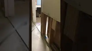 Bora Care Mold Care Application Video