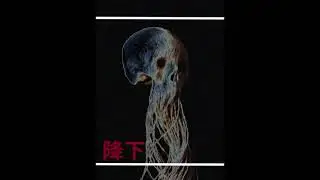 vera virtus &reg; - Ｄｅｃｅｓｓｏ（ど波）( DEMO)