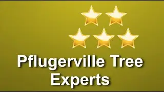 Tree Service Pflugerville TX - Pflugerville Tree Experts 5 Star Video Review