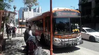 Metro Local 81