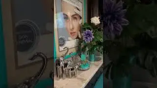 Cabina facial esthetician #esthetician #rvlife #estheticianlife #trishastyle