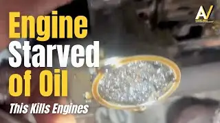 This Is Why Ford Fiesta Engines Fail | Blocked Oil Pump & Timing Belt Explained | AutoNet VIP