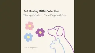 Dog Music to calm excitement
