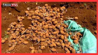 Ũrĩmi wa waru Kibirichia, Meru #MũgamboWaMũrĩmi part 1