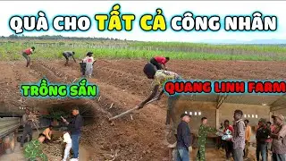 Quanglinhvlogs || Quà Tặng Cho Tất Cả Công Nhân Tại Quang Linh Farm - Công Cuộc Trồng Sắn...