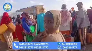 WARAABI WALALAHA OOMAN