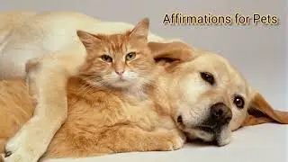 Affirmations for Pets to be Healthy, Safe and Well Behaved
