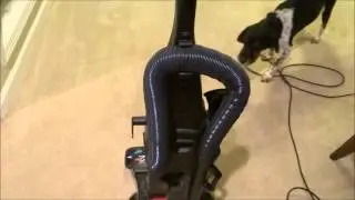 CRAZY Barking Dog HATES vacuum!!