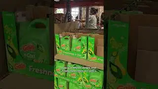 Gain liquid detergent on sale @Costco #shorts #shortvideo #usa #us