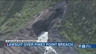 Piney Point fallout: Florida officials were 'asleep at the wheel' before breach, conservation groups