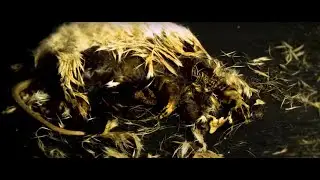 BRUTE - When Dead Bodies Fly  (Official Lyric Video)