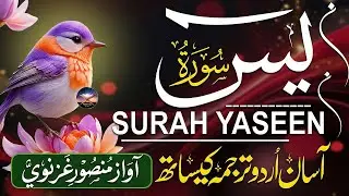 Surah Yasin (Yaseen) سورة يس | Beautiful & Peaceful Quran Recitation for the Heart #surahyaseen