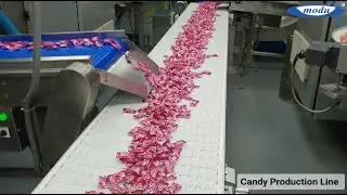 MODU Conveyor - Candy Production Line