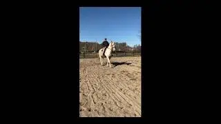 Pacasso