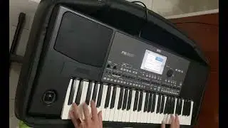 🎹 Thanh l&yacute; c&acirc;y : Korg Pa600 đẹp ko lỗi lầm g&igrave; cho ae về đi Show 🎼🎵🎶 - ☎️ 0988122839