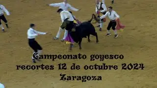 Campeonato goyesco recortes con toros -  ZARAGOZA 12 de octubre 2024
