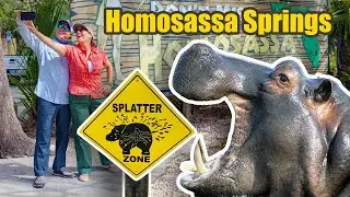 🦛 An Epic Crystal River Adventure At Homosassa Springs Wildlife State Park