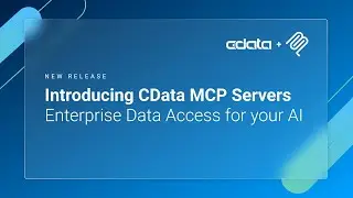 Introducing CData MCP Servers