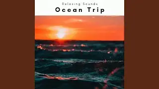 Deep Beach Music Journey for Instant Sleep