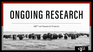 Ongoing Research | AGI-Led Research Projects