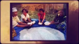 The Magic of Cassava: Adapting to climate change in the Democratic Republic of the Congo