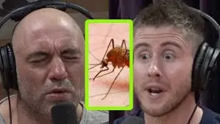 Тяжелая малярия чуть не убила исследователя Эш Дайкс