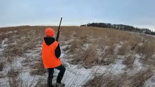 Their First Pheasant Hunt - Youth Hunt @ Good Shot