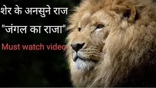 Unknown facts lion k || facts of lion #amazingfacts #realfacts #MyYearOnYouTube2025