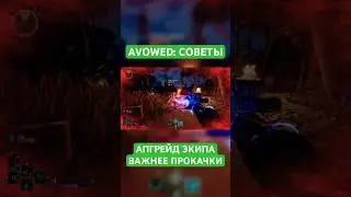 Avowed &mdash; почему апгрейд оружия и брони важнее прокачки?