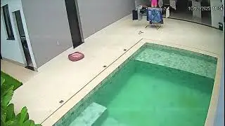Dog helps save laundry during rain in Catal&atilde;o, Brazil