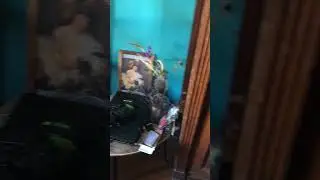 Необычный и недорогой хостел в Санкт-Петербурге