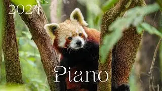 Сборник расслабляющей музыки души!A collection of relaxing soul music!