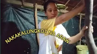 NAKAKALUNGKOT NA ARAW,SANA DI AKO NAG PAKA KAMPANTE.