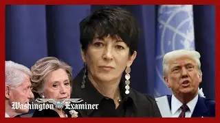 Гислейн Максвелл предлагает Трампу и Клинтон невиновность в обмен на помилование.