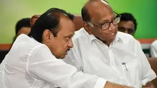 Sharad Pawar Keeps NCP Merger Buzz Alive Says No Harm In Setting Aside Differences