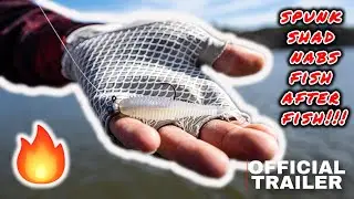 Spunk Shad Fishing!!! (FISH AFTER FISH!!!) (TEASER)