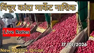 Today's Lasalgaon Vinchur Onion Market Rates 🌰 Latest Onion Price Insights 🌰🔝