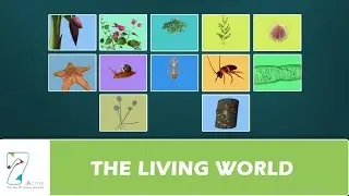 THE LIVING WORLD