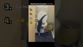 Ranking Cat Fails That Look 100% Planned (Wait for #1) #funny #catshorts #catfails