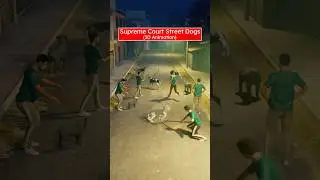 Supreme Court Judgement on Dogs? (3D) by Professor Of How