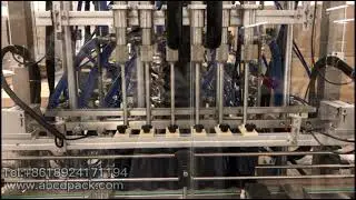 Servo filler capper and labeller lines for Shampoo, detergent and liquid soap in France.