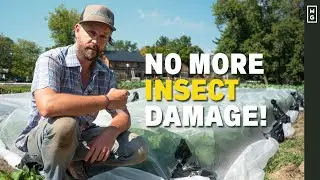 How To Keep Pests Out Of The Garden | Eco-Friendly And Easy Method!