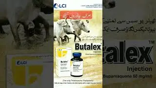 #butalex #vetcareinsights #veterinarypharmacist #animalfarming #veternary #cattledisease #livestockf