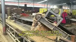 Blockboard Production Line Sawmill Log Multi Blade Saw Multi Rip Saw Wooden Pallets Belt Conveyor