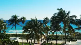 Miami Beach 2020