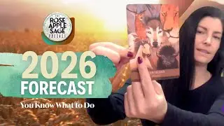 ✨ 2026 COLLECTIVE FORECAST | Intuitive &bull; Tarot &bull; Oracle &bull; Akashic Reading ✨