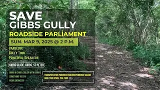 ROADSIDE PARLIAMENT PREPARATION - GIBBS GULLY