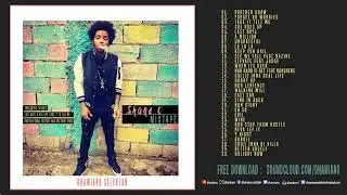 Dhamiano Selektah - Shane O Mixtape